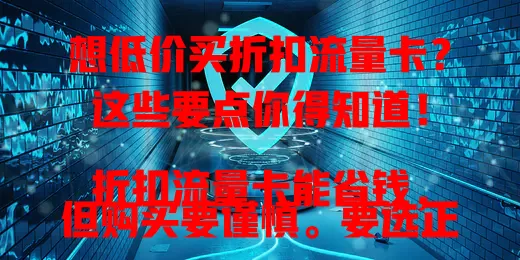 想低价买折扣流量卡？这些要点你得知道！

折扣流量卡能省钱，但购买要谨慎。要选正规的，了解套餐细节，关注售后。理性购买，才能尽享实惠便利，让网络生活更顺畅经济！