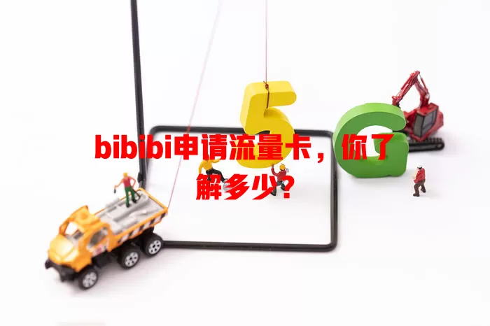 bibibi申请流量卡，你了解多少？