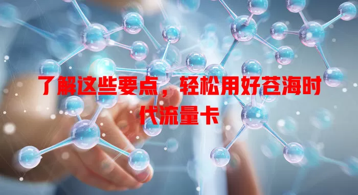 了解这些要点，轻松用好苍海时代流量卡