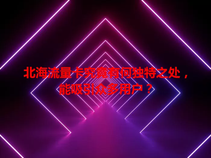 北海流量卡究竟有何独特之处，能吸引众多用户？