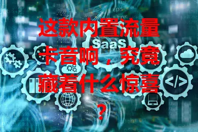这款内置流量卡音响，究竟藏着什么惊喜？