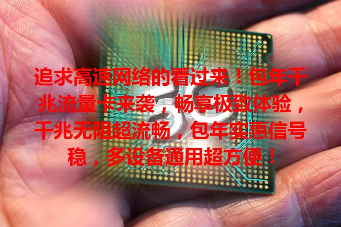 追求高速网络的看过来！包年千兆流量卡来袭，畅享极致体验，千兆无阻超流畅，包年实惠信号稳，多设备通用超方便！