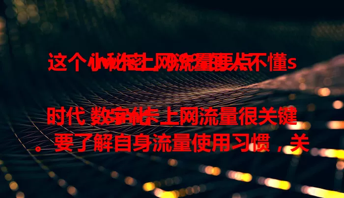 这个小秘密，99%的人不懂sim卡上网流量要点

数字化时代，sim卡上网流量很关键。要了解自身流量使用习惯，关注网速影响因素，选好套餐，留意有效期，唯有深入了解，才能满足上网需求，让网络生活更精彩。