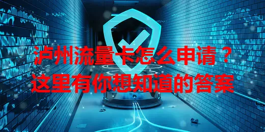 泸州流量卡怎么申请？这里有你想知道的答案