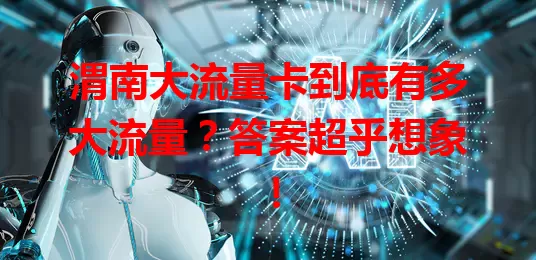 渭南大流量卡到底有多大流量？答案超乎想象！