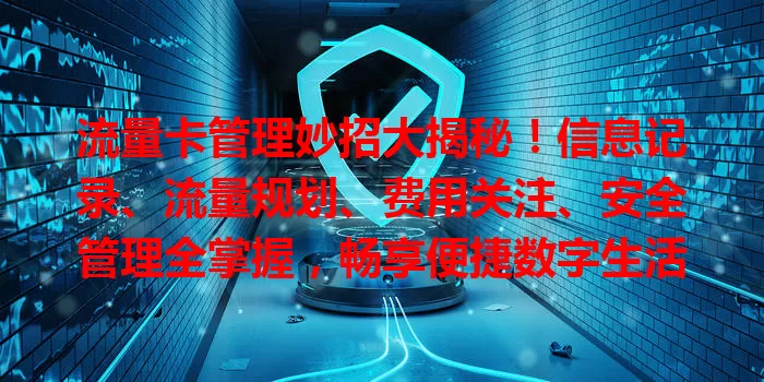 流量卡管理妙招大揭秘！信息记录、流量规划、费用关注、安全管理全掌握，畅享便捷数字生活