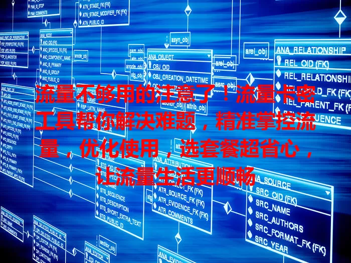 流量不够用的注意了！流量卡密工具帮你解决难题，精准掌控流量，优化使用，选套餐超省心，让流量生活更顺畅