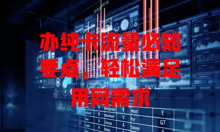 办纯卡流量必知要点，轻松满足用网需求