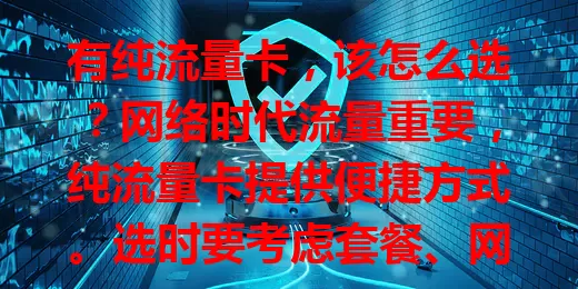 有纯流量卡，该怎么选？网络时代流量重要，纯流量卡提供便捷方式。选时要考虑套餐、网速、使用范围，依自身需求对比优缺点，才能选到适合的纯流量卡畅游网络。