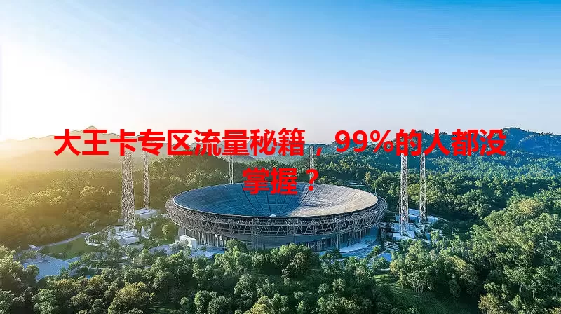 大王卡专区流量秘籍，99%的人都没掌握？