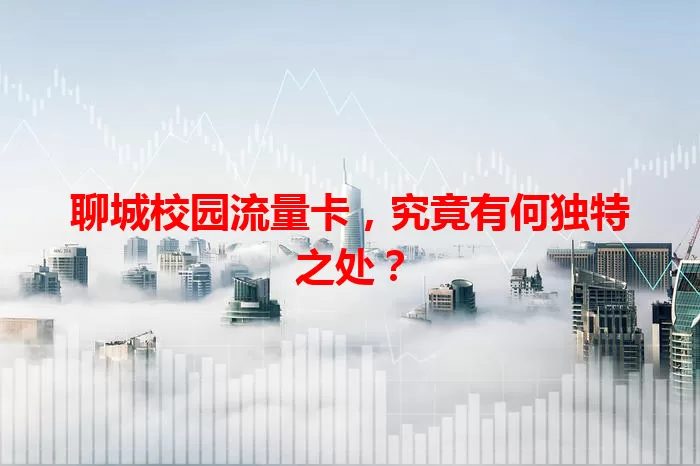 聊城校园流量卡，究竟有何独特之处？