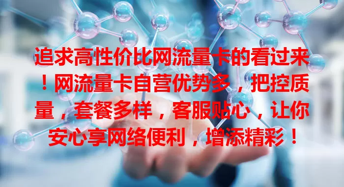 追求高性价比网流量卡的看过来！网流量卡自营优势多，把控质量，套餐多样，客服贴心，让你安心享网络便利，增添精彩！