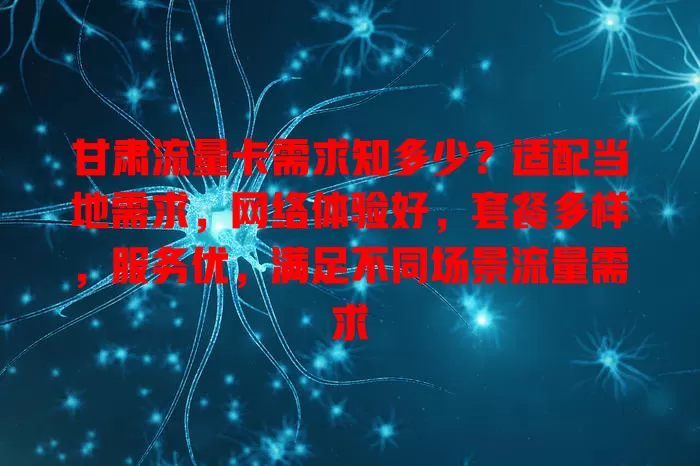 甘肃流量卡需求知多少？适配当地需求，网络体验好，套餐多样，服务优，满足不同场景流量需求