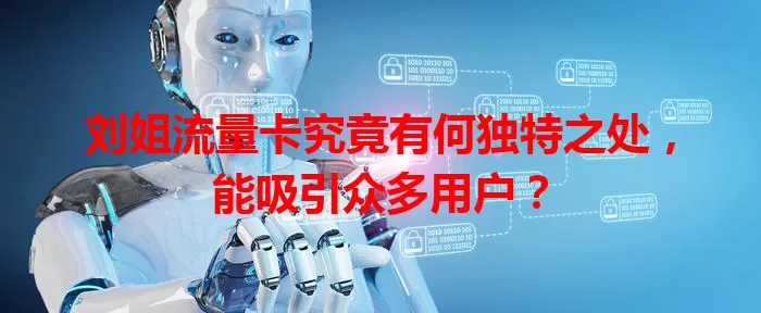 刘姐流量卡究竟有何独特之处，能吸引众多用户？