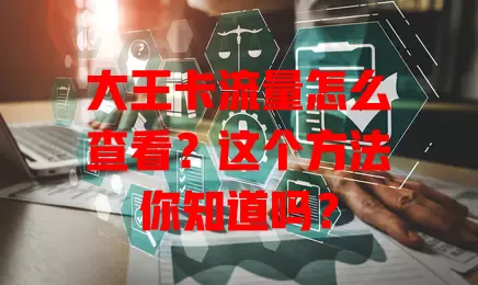 大王卡流量怎么查看？这个方法你知道吗？