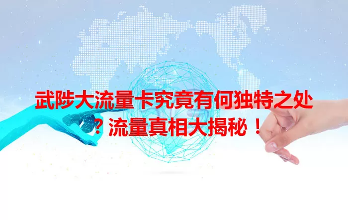 武陟大流量卡究竟有何独特之处？流量真相大揭秘！