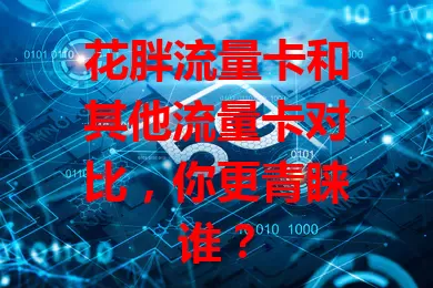 花胖流量卡和其他流量卡对比，你更青睐谁？