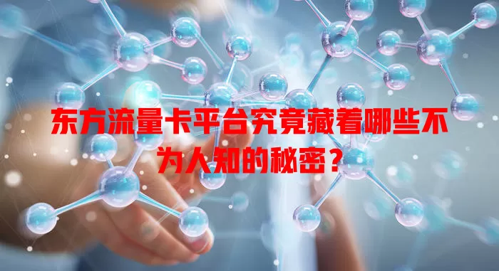 东方流量卡平台究竟藏着哪些不为人知的秘密？