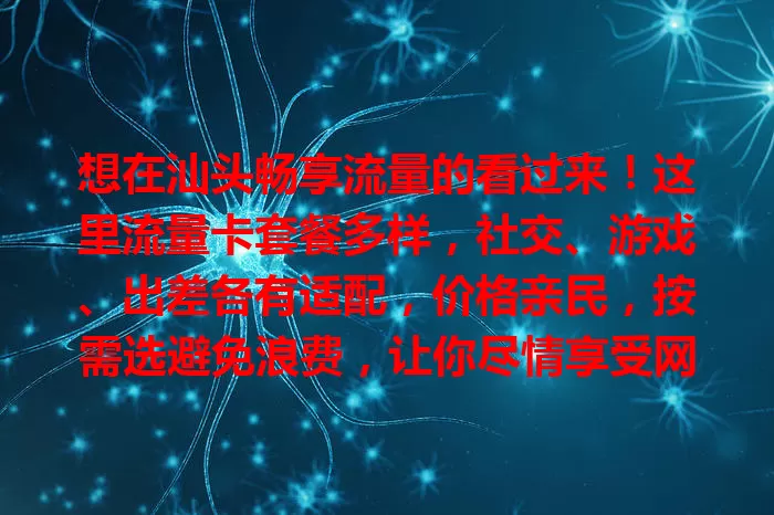 想在汕头畅享流量的看过来！这里流量卡套餐多样，社交、游戏、出差各有适配，价格亲民，按需选避免浪费，让你尽情享受网络便利与乐趣