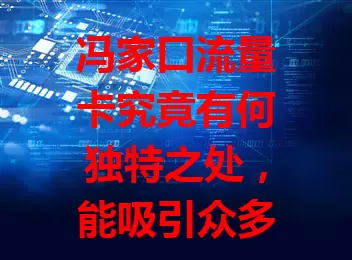 冯家口流量卡究竟有何独特之处，能吸引众多用户？