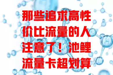那些追求高性价比流量的人注意了！池鲤流量卡超划算