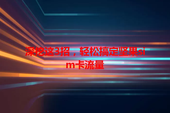 深挖这3招，轻松搞定坚果sim卡流量