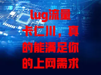 lug流量卡仁川，真的能满足你的上网需求？