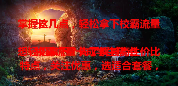 掌握这几点，轻松拿下校霸流量卡

校霸流量卡成学生焦点，想轻松拿下？先了解其高性价比特点，关注优惠，选适合套餐，注意办理流程事项，弄懂这些，就能畅享校园便捷网络生活！