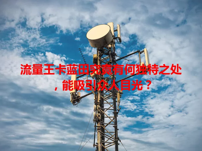 流量王卡蓝田究竟有何独特之处，能吸引众人目光？