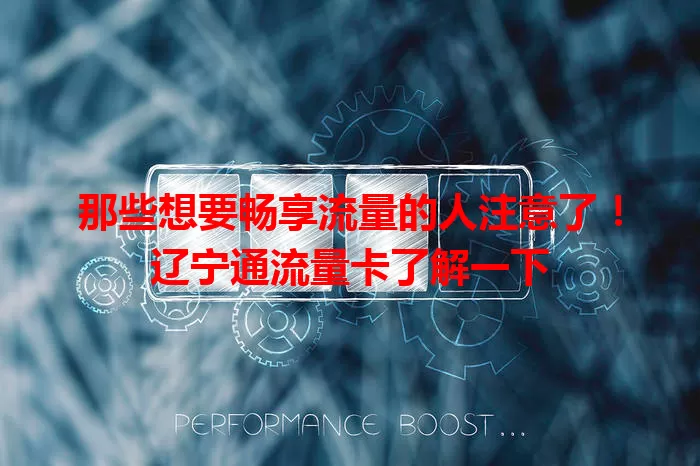 那些想要畅享流量的人注意了！辽宁通流量卡了解一下