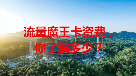 流量魔王卡资费，你了解多少？