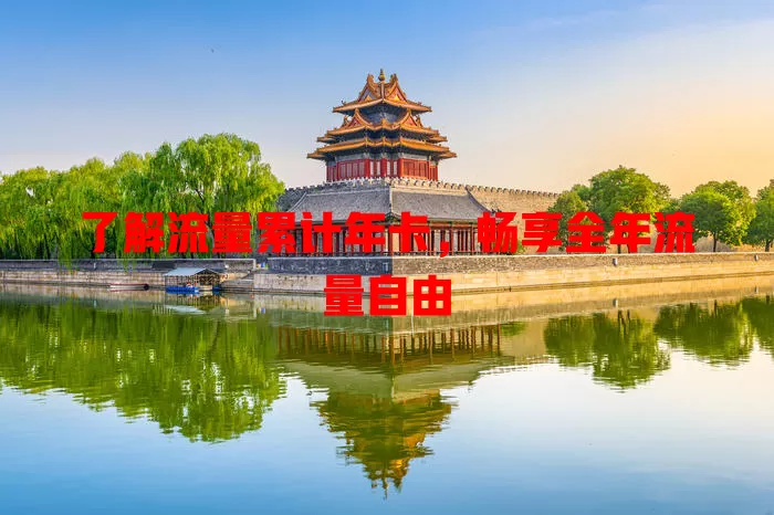 了解流量累计年卡，畅享全年流量自由