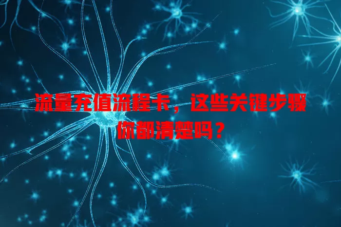 流量充值流程卡，这些关键步骤你都清楚吗？