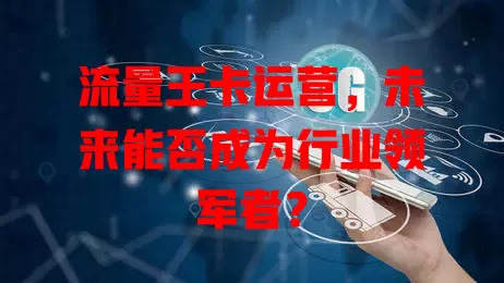 流量王卡运营，未来能否成为行业领军者？