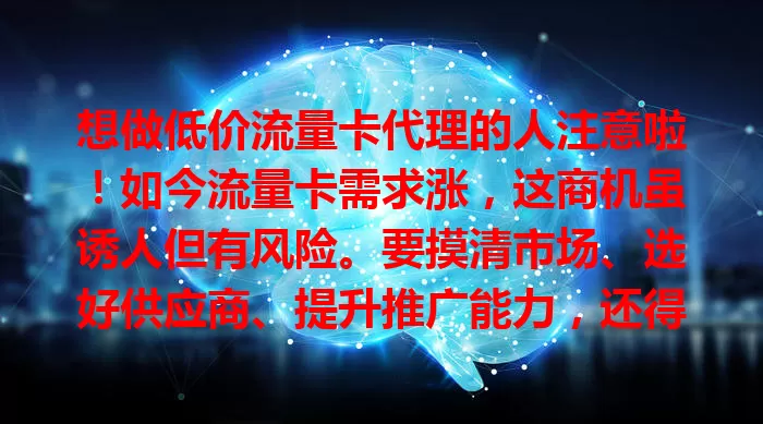 想做低价流量卡代理的人注意啦！如今流量卡需求涨，这商机虽诱人但有风险。要摸清市场、选好供应商、提升推广能力，还得留意政策法规，做好准备谨慎前行，才能在这领域成功。