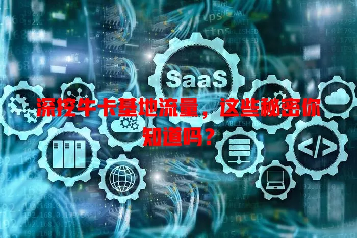 深挖牛卡基地流量，这些秘密你知道吗？