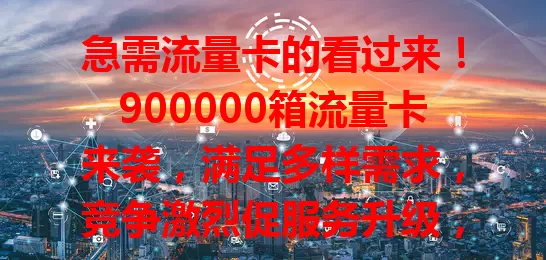 急需流量卡的看过来！900000箱流量卡来袭，满足多样需求，竞争激烈促服务升级，技术进步，偏远地区也能畅享便捷网络，带来更好体验