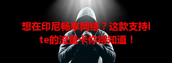 想在印尼畅享网络？这款支持lte的流量卡你得知道！