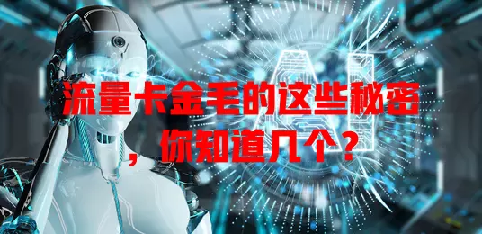流量卡金毛的这些秘密，你知道几个？