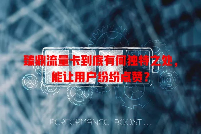 臻鼎流量卡到底有何独特之处，能让用户纷纷点赞？