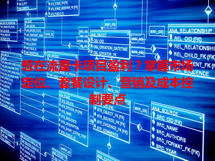 想在流量卡项目盈利？掌握市场定位、套餐设计、营销及成本控制要点