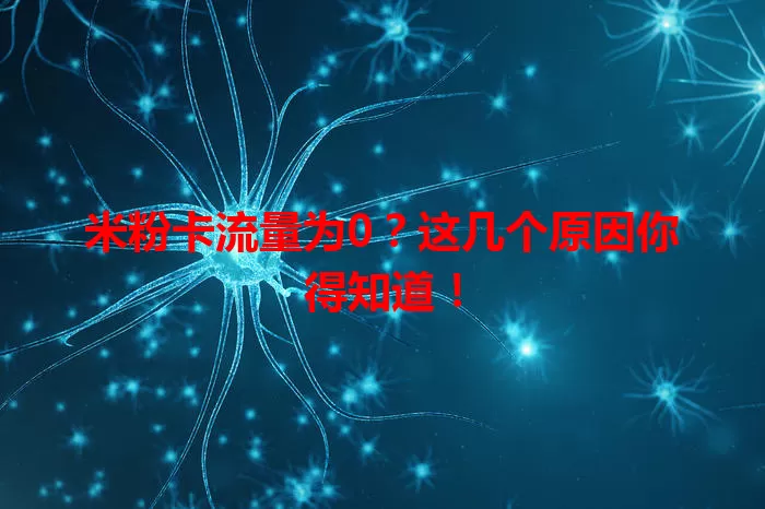 米粉卡流量为0？这几个原因你得知道！