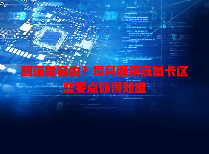 想流量自由？每月通用流量卡这些要点你得知道