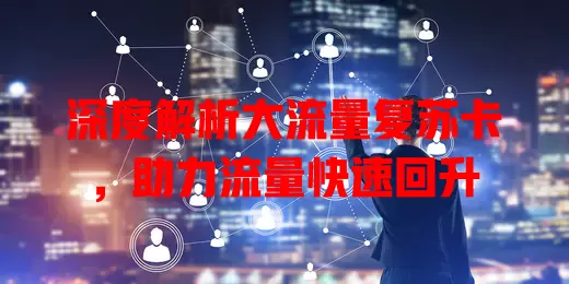 深度解析大流量复苏卡，助力流量快速回升