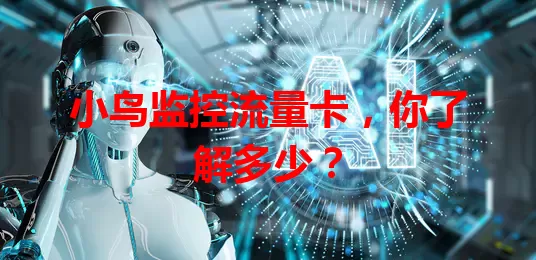 小鸟监控流量卡，你了解多少？