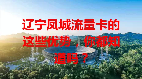 辽宁凤城流量卡的这些优势，你都知道吗？