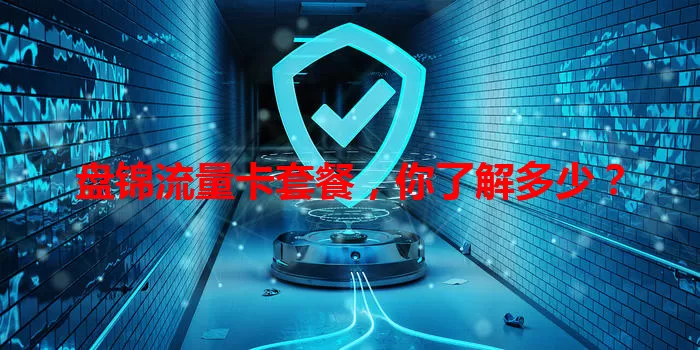 盘锦流量卡套餐，你了解多少？