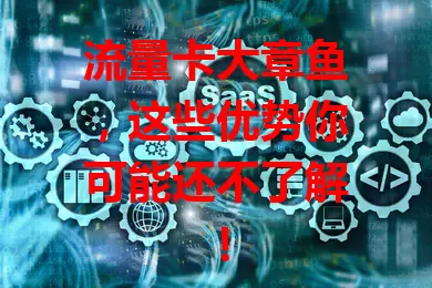 流量卡大章鱼，这些优势你可能还不了解！