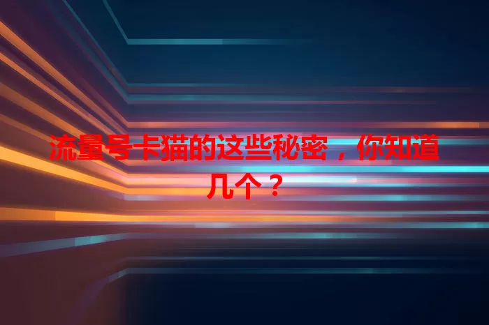 流量号卡猫的这些秘密，你知道几个？