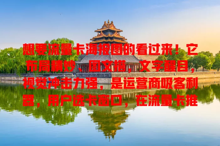 想要流量卡海报图的看过来！它布局精妙、图文搭，文字醒目，视觉冲击力强，是运营商吸客利器，用户选卡窗口，在流量卡推广与选择中不可或缺